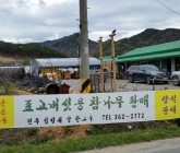표고버섯용참나무