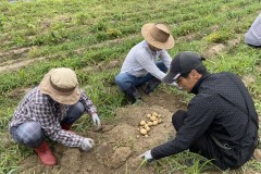새내기 교육생에서 농부로, 체류형농업창업지원센터 7기 입교생 첫 감자수확